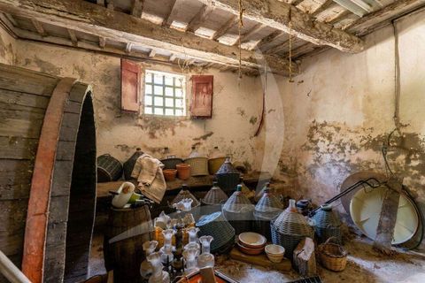Farm hus i Asciano, Siena, Asciano - € 1.650.000 | Ref: A1190RC55558-1075731 - foto 26