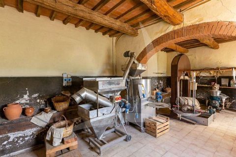 Farm hus i Asciano, Siena, Asciano - € 1.650.000 | Ref: A1190RC55558-1075731 - foto 28