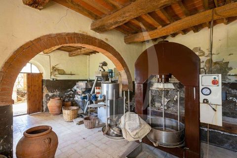 Farm hus i Asciano, Siena, Asciano - € 1.650.000 | Ref: A1190RC55558-1075731 - foto 29