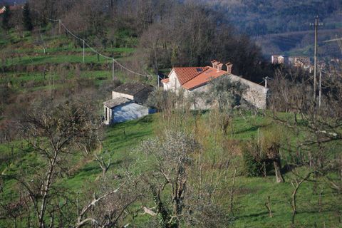 Farm hus i Pontremoli, Massa and Carrara, Pontremoli - € 790.000 | Ref: A7879TA1753750A-1075999 - foto 13