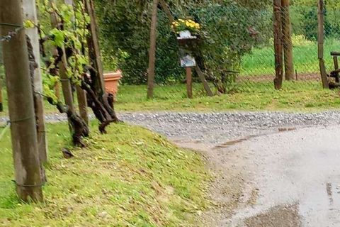 Villa i Capannori, Lucca, Capannori - € 490.000 | Ref: A6551RV2509315A-1076071 - foto 25