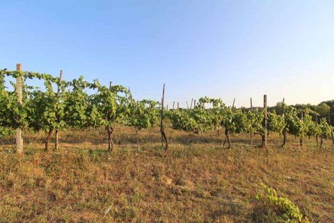 Farm hus i Siena, Siena, Siena - € 1.800.000 | Ref: A6292RC2107395A-1076102 - foto 21