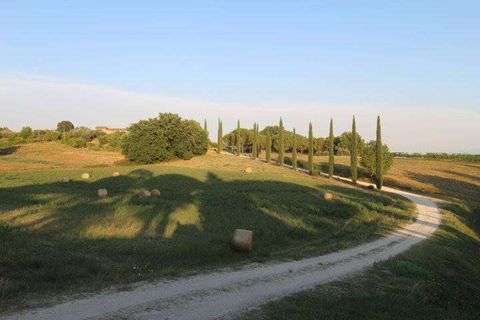 Farm hus i Siena, Siena, Siena - € 1.800.000 | Ref: A6292RC2107395A-1076102 - foto 24