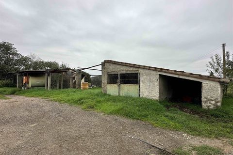 Farm hus i Roccastrada, Grosseto, Roccastrada - € 1.250.000 | Ref: A7631TA2400045A-1076579 - foto 9