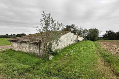 Farm hus i Roccastrada, Grosseto, Roccastrada - € 1.250.000 | Ref: A7631TA2400045A-1076579 - foto 11