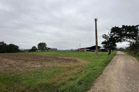 Farm hus i Roccastrada, Grosseto, Roccastrada - € 1.250.000 | Ref: A7631TA2400045A-1076579 - foto 12