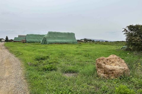 Farm hus i Roccastrada, Grosseto, Roccastrada - € 1.250.000 | Ref: A7631TA2400045A-1076579 - foto 18