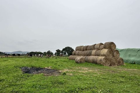 Farm hus i Roccastrada, Grosseto, Roccastrada - € 1.250.000 | Ref: A7631TA2400045A-1076579 - foto 20