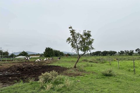 Farm hus i Roccastrada, Grosseto, Roccastrada - € 1.250.000 | Ref: A7631TA2400045A-1076579 - foto 24