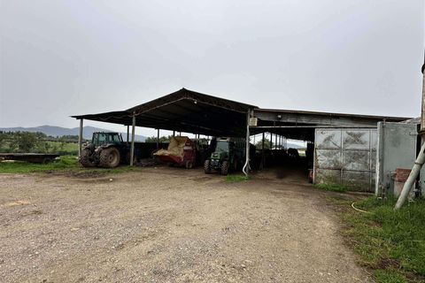 Farm hus i Roccastrada, Grosseto, Roccastrada - € 1.250.000 | Ref: A7631TA2400045A-1076579 - foto 26