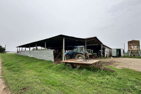 Farm hus i Roccastrada, Grosseto, Roccastrada - € 1.250.000 | Ref: A7631TA2400045A-1076579 - foto 27