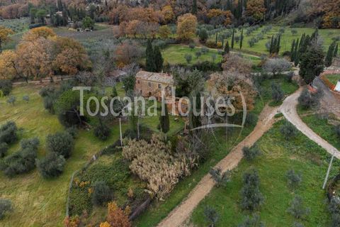 Farm hus i Pienza, Siena, Pienza - € 790.000 | Ref: A1190RC88409-1076923 - foto 2