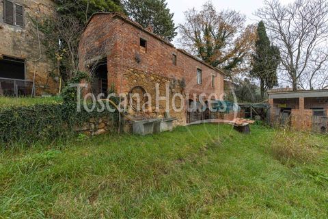 Farm hus i Pienza, Siena, Pienza - € 790.000 | Ref: A1190RC88409-1076923 - foto 12
