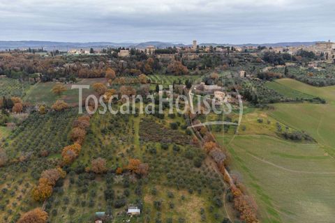 Farm hus i Pienza, Siena, Pienza - € 790.000 | Ref: A1190RC88409-1076923 - foto 22