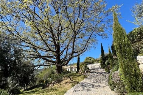 Villa i Seillans, Var, Seillans - € 3.300.000 | Ref: 86916210 - foto 5