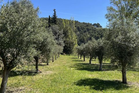 Villa i Seillans, Var, Seillans - € 3.300.000 | Ref: 86916210 - foto 34