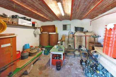 Farm hus i Pienza, Siena, Pienza - € 2.800.000 | Ref: A1190TA83375-1077126 - foto 17