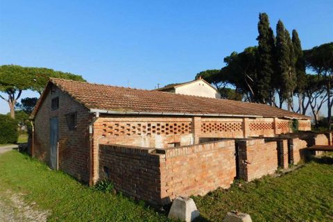 Farm hus i Grosseto, Grosseto, Grosseto - € 1.200.000 | Ref: A7631TA1729275A-1077415 - foto 12