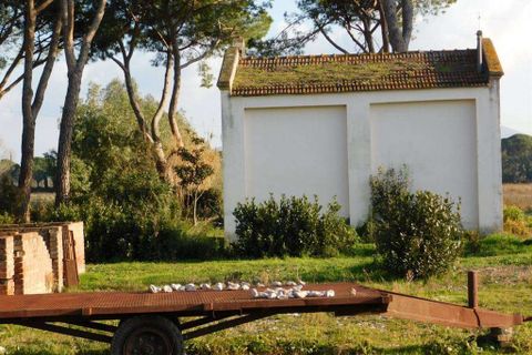 Farm hus i Grosseto, Grosseto, Grosseto - € 1.200.000 | Ref: A7631TA1729275A-1077415 - foto 13