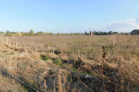 Farm hus i Grosseto, Grosseto, Grosseto - € 1.200.000 | Ref: A7631TA1729275A-1077415 - foto 17
