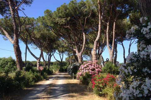 Farm hus i Grosseto, Grosseto, Grosseto - € 1.200.000 | Ref: A7631TA1729275A-1077415 - foto 19