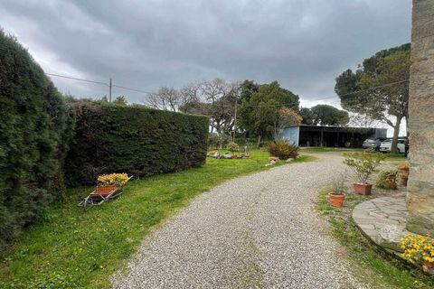 Farm hus i Roccastrada, Grosseto, Roccastrada - € 540.000 | Ref: A7631TA2553838A-1077531 - foto 6