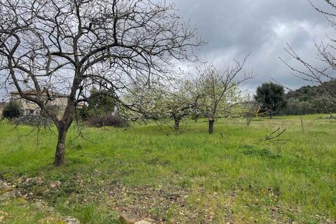 Farm hus i Roccastrada, Grosseto, Roccastrada - € 540.000 | Ref: A7631TA2553838A-1077531 - foto 26