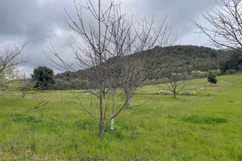 Farm hus i Roccastrada, Grosseto, Roccastrada - € 540.000 | Ref: A7631TA2553838A-1077531 - foto 27