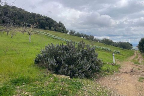 Farm hus i Roccastrada, Grosseto, Roccastrada - € 540.000 | Ref: A7631TA2553838A-1077531 - foto 28