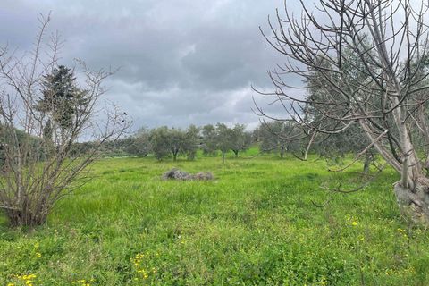 Farm hus i Roccastrada, Grosseto, Roccastrada - € 540.000 | Ref: A7631TA2553838A-1077531 - foto 29