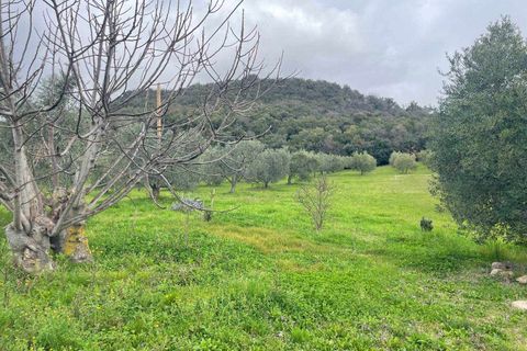Farm hus i Roccastrada, Grosseto, Roccastrada - € 540.000 | Ref: A7631TA2553838A-1077531 - foto 30