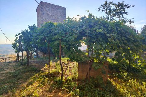 Byhus i Pienza, Siena, Pienza - € 775.000 | Ref: A2617RA2375719A-1077979 - foto 10