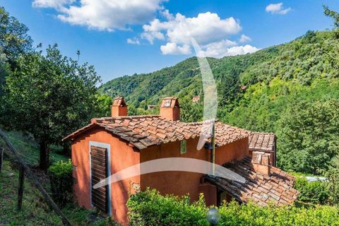 Farm hus i Pescia, Pistoia, Pescia - € 560.000 | Ref: A1190RC86823-1078403 - foto 2