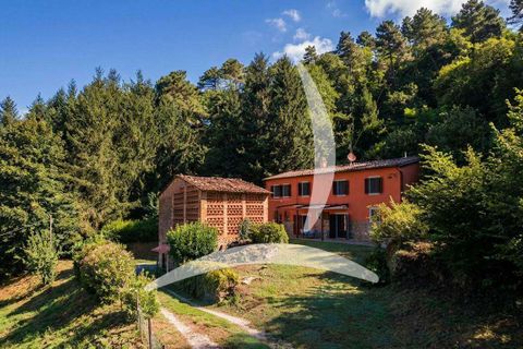 Farm hus i Pescia, Pistoia, Pescia - € 560.000 | Ref: A1190RC86823-1078403 - foto 4