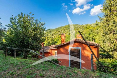 Farm hus i Pescia, Pistoia, Pescia - € 560.000 | Ref: A1190RC86823-1078403 - foto 6