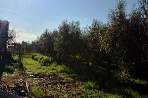 Farm hus i Rosignano Marittimo, Livorno, Rosignano Marittimo - € 590.000 | Ref: A9591GP053-1078465 - foto 2
