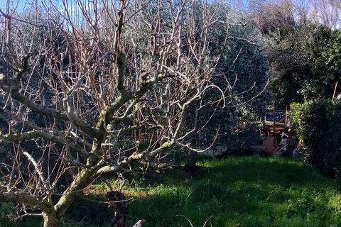 Farm hus i Rosignano Marittimo, Livorno, Rosignano Marittimo - € 590.000 | Ref: A9591GP053-1078465 - foto 3