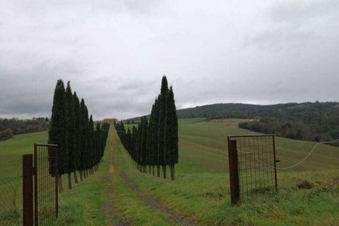 Terra a Murlo, Siena, Murlo - € 2.250.000 | Ref: A6380TA2178306A-1078557 - foto 2