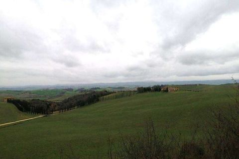 Terra a Murlo, Siena, Murlo - € 2.250.000 | Ref: A6380TA2178306A-1078557 - foto 3
