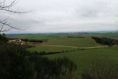 Terra a Murlo, Siena, Murlo - € 2.250.000 | Ref: A6380TA2178306A-1078557 - foto 4