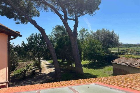 Farm hus i Cecina, Livorno, Cecina - € 568.000 | Ref: A9591MF112-1078589 - foto 25