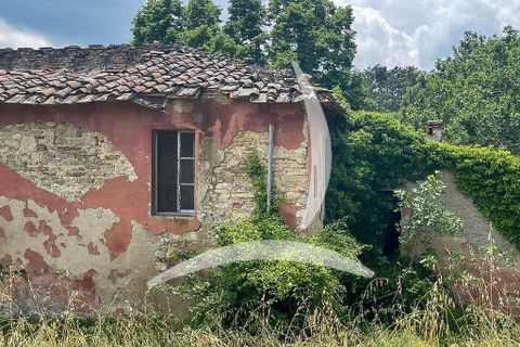 Farm hus i Bucine, Arezzo, Bucine - € 900.000 | Ref: A1190RC74474-1078654 - foto 7