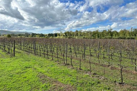Farm hus i Grosseto, Grosseto, Grosseto - € 1.300.000 | Ref: A7631TA2268894A-1078758 - foto 1