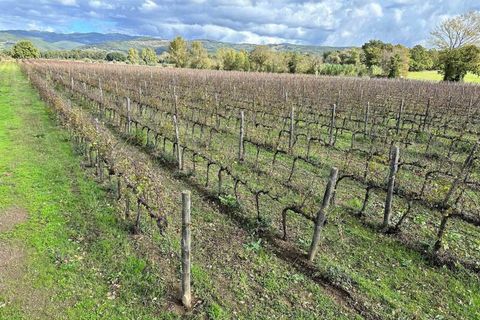 Farm hus i Grosseto, Grosseto, Grosseto - € 1.300.000 | Ref: A7631TA2268894A-1078758 - foto 2
