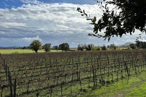 Farm hus i Grosseto, Grosseto, Grosseto - € 1.300.000 | Ref: A7631TA2268894A-1078758 - foto 3