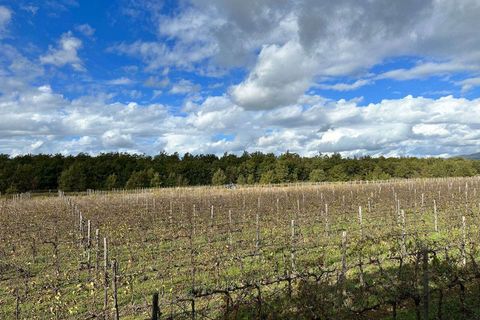 Farm hus i Grosseto, Grosseto, Grosseto - € 1.300.000 | Ref: A7631TA2268894A-1078758 - foto 4