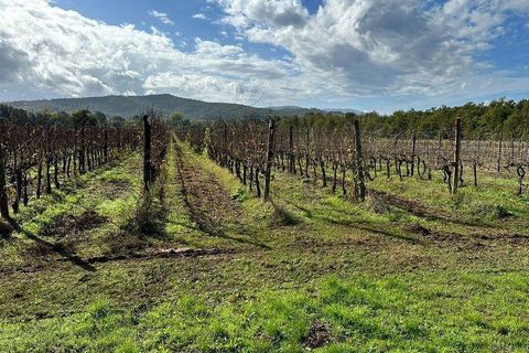 Farm hus i Grosseto, Grosseto, Grosseto - € 1.300.000 | Ref: A7631TA2268894A-1078758 - foto 5