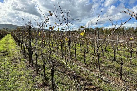 Farm hus i Grosseto, Grosseto, Grosseto - € 1.300.000 | Ref: A7631TA2268894A-1078758 - foto 6