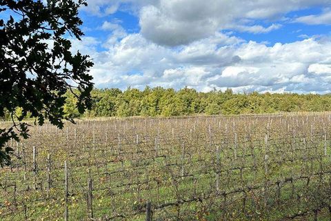 Farm hus i Grosseto, Grosseto, Grosseto - € 1.300.000 | Ref: A7631TA2268894A-1078758 - foto 8