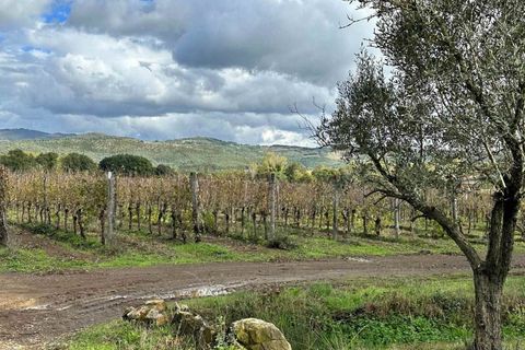Farm hus i Grosseto, Grosseto, Grosseto - € 1.300.000 | Ref: A7631TA2268894A-1078758 - foto 9